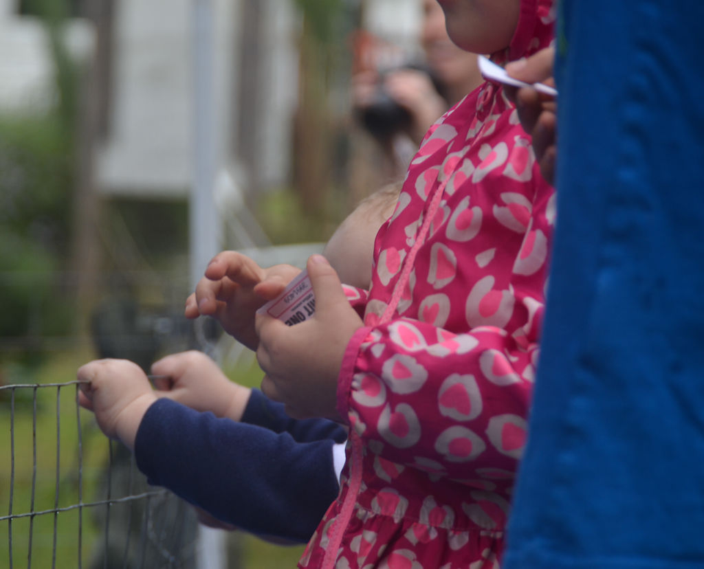 Wren Fraser holds a raffle ticket at the 10th annual Harvest Hootenanny